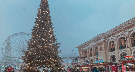 Зимний Петербург: куда сходить на Новый год с семьей и друзьями